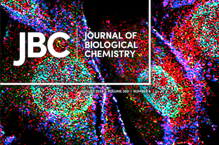 READDI-AC researchers partner with Gilead to describe mechanism of cyano-modified nucleotide analogs that inhibit key respiratory virus RNA polymerases